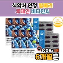 루테인6개 빌베리 빌베루 빌배리 베타카로틴 루테인 뉴테인 빌베리루테인 루테인빌베리 아이 플러스 수입 눈 DUDDIDWP 중고생 눈관리복합식품 고르는법 복용법 효과 효능 6개월