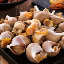 스테잇홈 국산 백고동 1kg 백골뱅이 대(15~20미내외) 냉동, 자연산 백고동 (대 15-20미)1kg 급냉, 1개