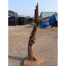 세워만 놓아도 인테리어가 되는 초대형 목부작