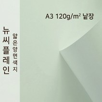 뉴씨플레인 종이문화 얇은 양면색지 120g A3 낱장 1매 No.49 연회색, 1장
