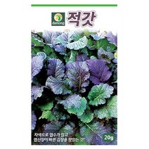 적근대 5g 근대씨앗 근대씨 샐러드 채소씨 채소씨앗 야채씨앗 야채씨, 03_다농_적갓(20g)