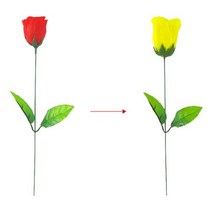 초보 장미 마술 컬러 체인지 트릭 매직 연구 창의 관찰 도구 원리 학습 과학