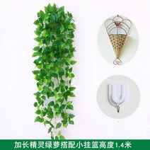 거실벽장식 벽걸이 그린 등나무 식물 가림막 식당 장식품 화분 리얼 걸이용품 가슴 티 깔다 위 벽면 2451438170, 연장 요정 그린 뤄 한송이 (걸이를선