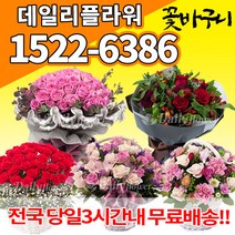 꽃바구니 꽃다발 생일 출산 전국꽃배달 프로포즈 결혼기념일 서울 강남 인천 대전 광주 울산 대구 부산 수원 용인 천안 청주 전주 포항 창원 성남 분당 부천, (선택97)과일바구니+꽃