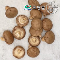 [공룡나라]고성 웅이표고농장 생표고버섯(생표고 상품1kg), 1개