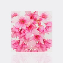봄꽃1 봄꽃1A 수재샵 보석십자수 DIY 비즈십자수 선물 취미 3D 30x30cm 60x60cm, 봄꽃1A 60*60