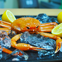 [수율보장] 산지직송 포항 구룡포 자숙 게찜 동해바다 대게 홍게 1.5kg 3kg, 다릿살 실속 홍게 10마리 (3kg)