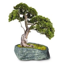 달리아 분재용 콘크리트 화분 벽돌무늬 감성 패턴, 스톤  4