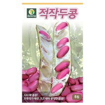 적작두콩 씨앗 100립, 단품없음