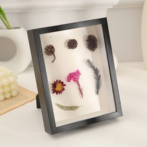 다소미얼Feb.09 12 다소미얼 번 입체중공표본테두리 A4diy 핸드메이드 액자 선반 나비곤충점토건화 도톰한 전시화틀Z, 검은색 (중 공 3cm, 식물 표본 미 포함)