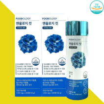 파란통 다이어트 맨올로지컷 가르시니아 체지방컷팅제 푸드올로지 120정X2박스, 120개, 2개