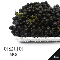 [정바른] 생과아로니아 5kg, 아로니아생과5kg, 5000g