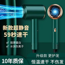 덕계 대출력 학생기숙사 정음 항온 두발 보호 휴대용드라이기, T13-흑녹색 2300W기함타입 기숙사 가정용