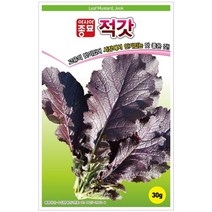 적갓 씨앗 600g 고유맛 시장 품종 맛 좋은 갓 김치 종자 다수확 기르기 쉬운 김장 텃밭 채소 농사