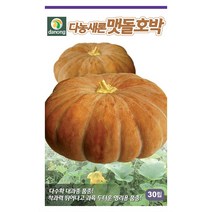 다농 새론맷돌호박 30립 호박씨앗