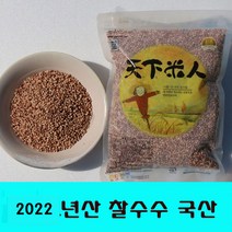 잡곡은보약 2022년산 찰수수1kg 2kg선택 국산, 1개입, 1kg