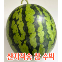 달콤한 고당도 수박 4~4.9kg 5~5.9kg실중량 안전포장 꿀수박 꿀 수박 신선한수박 햇수박 고당도수박 아삭한 아삭한수박 달콤한 프리미엄, 5~5.9kg, 1개