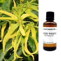향기에반하다 일랑일랑 E.O 천연 아로마 에센셜 오일 30ml 50ml 100ml피부 유수분 두피 모발 친환경 디퓨저 방향제 캔들 향료 화장품 비누만들기, 일랑일랑 천연 아로마 에센셜 오일 100ml