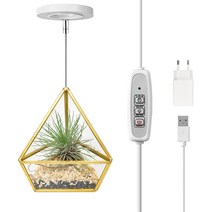 iGrow 테라리움 조명 이끼 테라리움 diy 만들기 키트 LED 이끼등 식물등, 1pcs