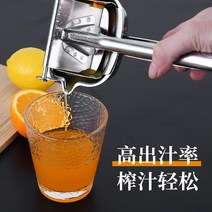 수동 압착기 가정용 착즙 스퀴저, J.50개의 Juicing Bag  과일 클립을 보내는