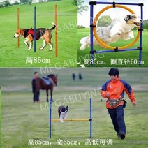 독스포츠 강아지 훈련 어질리티 애견용품 허들 운동 장애물 터널 훈련소 기구, 접지 플러그 조합 2