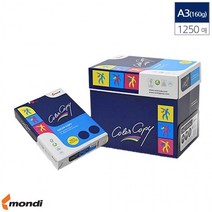 A3 컬러 레이져 전용 복사용지 백색 160g 1250매, 상세페이지 참조