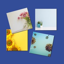 예닮 다꾸용품 정사각형 16종 떡메모지 정사각 메모지 떡메 메모장 메모패드 미니노트 무지 연습장 포스티 회사 학원 병원 관공서 선물용 떡메모지 제작 소량인쇄, 몬스테라
