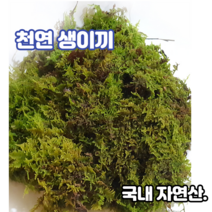 천연생이끼1000g 털깃털이끼 고급화분장식 테라리움 풍란 석 목부작 분재 분경마감 원예 정원조경 수삼장식