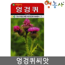 엉겅퀴씨앗 100립 야생 씨앗 재래종 종자 약초 씨