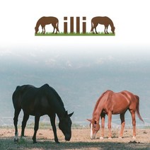 말사료 주문 경주마 승용마 말 영양 사료 제주 밀림, 단품, 단품