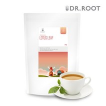 닥터루트 연잎 삼각티백 100T