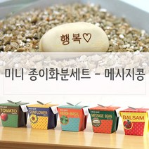 실내화분 아이방꾸미기 메세지콩 DIY키트 세트, 쿠팡 블루스토어 본상품선택
