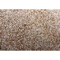 더덕씨앗 30g/50g/60g/더덕종자, 50g