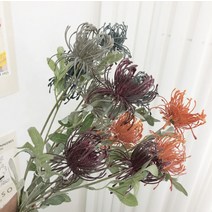 긴 가지 방크샤 - 미모사 열매 인테리어 소품 조화 모던하우스 도매 꽃 작약 인조 나무, 와인