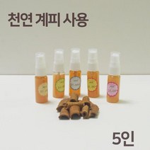 5인 천연 계피 스프레이 모기 기피제 만들기 유아 창작 학교 관찰 여름 실험 제작 원리