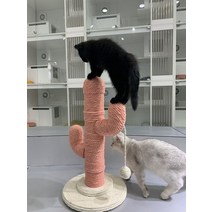 애완 용품 방석 침대 고양이 애견 강아지 쿠션 캣타워 장난감, F