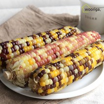 우리가스토리 탱글탱글 냉동 삶은 찰옥수수 홍찰 20개 (10cm~12cm내외) 냉동옥수수 삶은옥수수 옥수수 냉동찰옥수수, 2.7kg(특, 12개, 18~20cm 내외), 1개