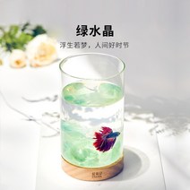 금붕어키우기 4자어항 2자광폭어항 3자어항