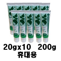 덴티스테 플러스 화이트 여행용 미니치약 200g (20gx10)