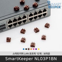스마트키퍼 NL03P1BN 랜포트락12 브라운 오피스 LAN 잠금장치 보안 솔루션 / 공식 판매점