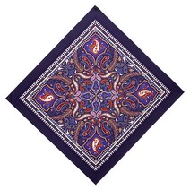 AIWOLU 남성용 반다나 - 수분 흡수 프린트 다용도 멋진 해적 반다나 헤드 랩 손수건, Paisley Print 13