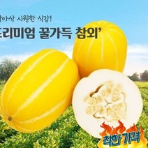 고씨네 프리미엄 참외10kg 참외 꿀참외 개구리참외