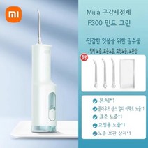 샤오미 구강세정기 치간칫솔 치석제거 치아 교정기 세척 물치실 워터픽, 민트 그린