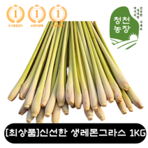 [최상품] 신선한 생 레몬그라스 1KG 베트남산 LEMONGRASS 후레시레몬그라스 후레쉬 동남아 식자재 베트남 다까이 샤 똠양꿍 향긋한 싱싱한 베트남샤