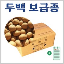강원도 두백 씨감자 4kg 10kg 20kg + 농사친구 안내장 세트, 02. 두백감자씨 10kg + 농사친구안내장