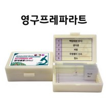 생명과확키트 세포구조 현미경표본 연구실 홈스쿨링 과학도구 초등학교 실험준비물