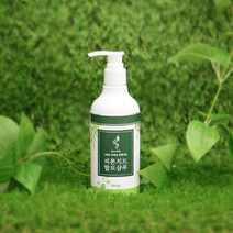 숲에서 피톤치드 탈모 샴푸 300g