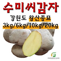 [강원도 정품 왕산종묘] 수미 씨감자 수미 야채 반찬용 씨감자 텃밭 주말농장 왕산 품질좋은 감자, 3kg