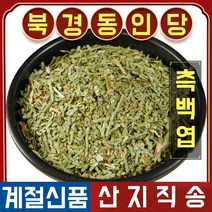 북경 동인당 야생 측백엽 한방차 한방재료 500g, 2봉