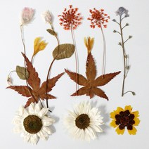 화미에듀 레진아트 압화 꽃 HR-106 공예 수업재료